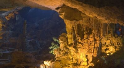 Alisa-Premier-Cruise-2D1N