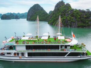 Apollo-Day-Cruise