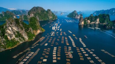 Athena-Signature-Royal-3D2N