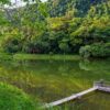 Cuc-Phuong-National-Park-Immerse-Yourself-In-Nature-Private-tour