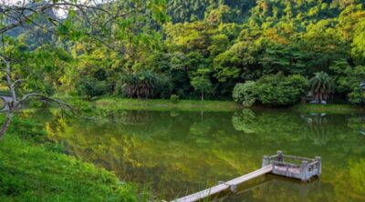 Cuc-Phuong-National-Park-Immerse-Yourself-In-Nature-Private-tour