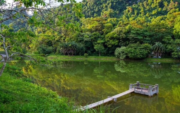 Cuc-Phuong-National-Park-Immerse-Yourself-In-Nature-Private-tour