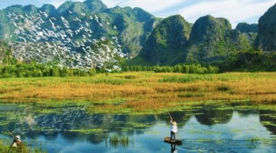 Cuc-Phuong-Van-Long-Hanoi