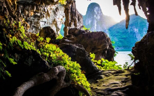 DAY-1-Halong-Bai-Tu-Long-Bay