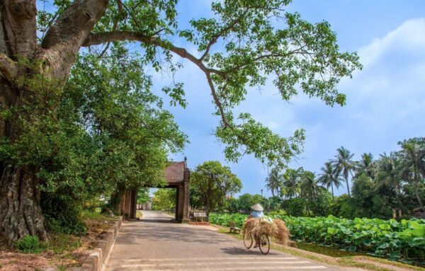 Duong-Lam-Ancient-Village-And-Hanoi-City-Tour-Private-Tour