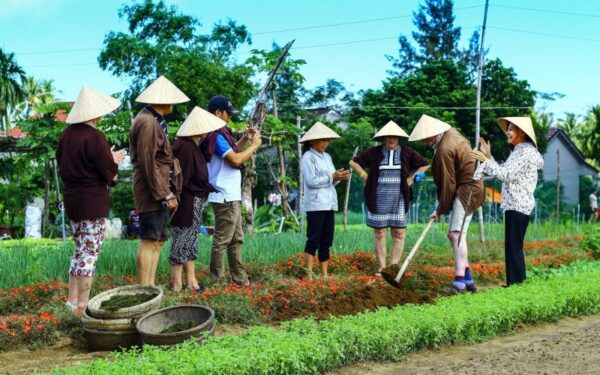 Experience-At-Tra-Que-Vegetable-Village