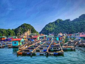 Halong-Bay