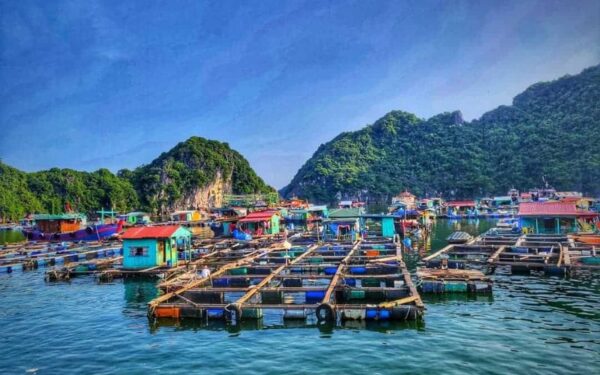 Halong-Bay