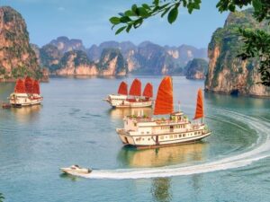 The cruise experience cannot be missed when coming to Ha Long