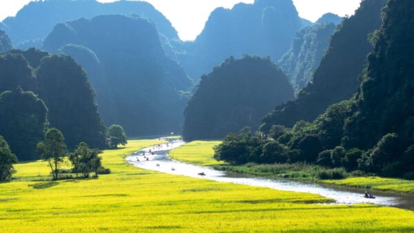 Hoa-Lu-Temple-Mua-Cave -Trang-An-Ecosystem-4