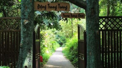 Indochine-Cruise-Trip-Day-3