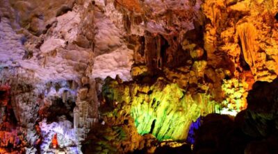 Iris-Cruise-Daily-1-Day-Trip