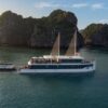 Jade-Sails-5-Cruise-1-Day