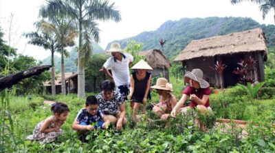 Mon-Chéri-Cruise-3D2N-2