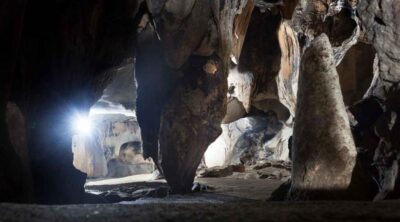 Orchid-Classic-Trip-Day-1.