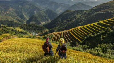 Sapa-Packages-3D2N-Private-Tour