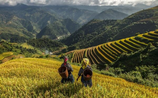 Sapa-Packages-3D2N-Private-Tour