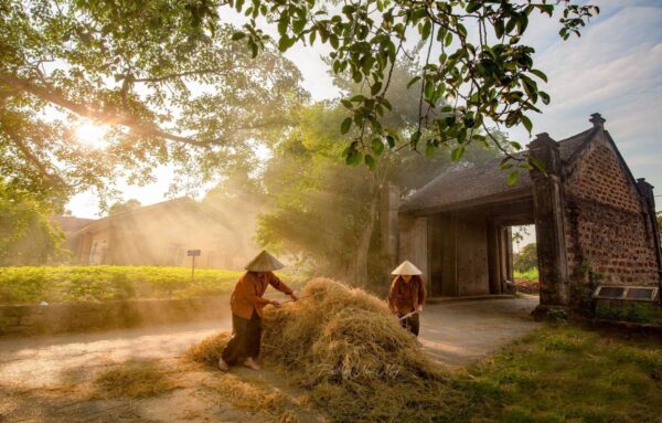 The-Ancient-Beauty-Of-Duong-Lam-Ancient-Village-Private-Tour