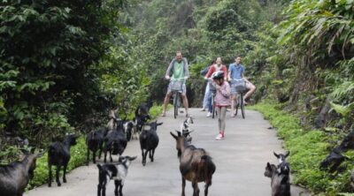 The-Au-Co-Cruise-2D1N-2