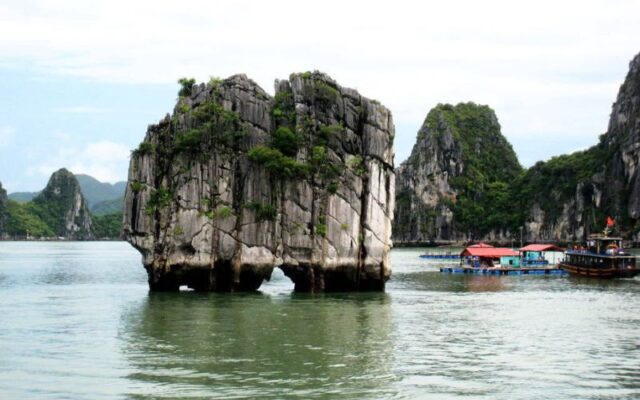 Tuan-Chau-Harbor-Lan-Ha-Bay-Tra-Bau