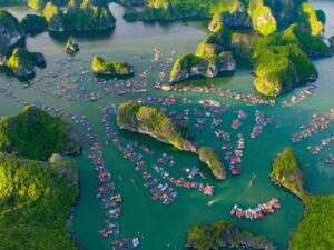 Tuan-Chau-Harbor-Lan-Ha-Bay-Tra-Bau