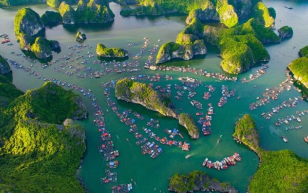 Tuan-Chau-Harbor-Lan-Ha-Bay-Tra-Bau