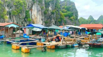 Venus-Cruise-Trip-Day-1