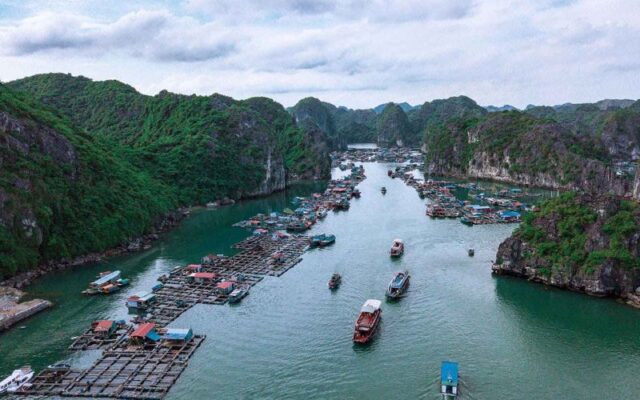 Explore-Lan-Ha-Bay-Hanoi-B_Brunch