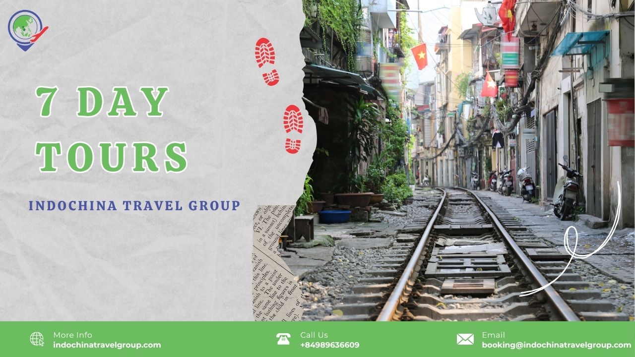 7 day tours