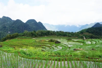 Vietnam Premium Discovery In 21D20N