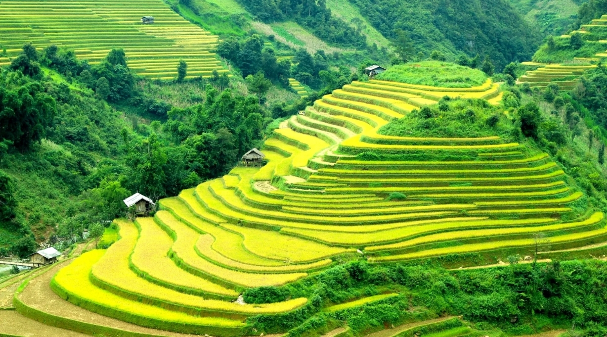 Best Places To Visit in Northern Vietnam: The Ultimate Local Expert Guide 6 mai chau terrace field