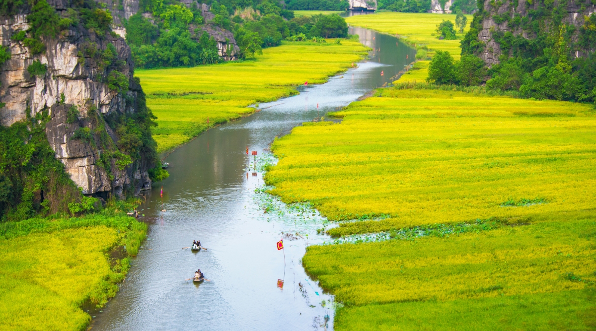 Tam Coc in golden season