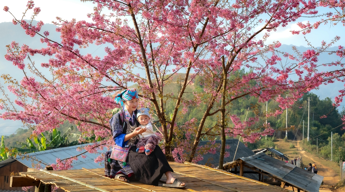 Sapa in spring