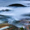 dalat 2000 x 1333 px