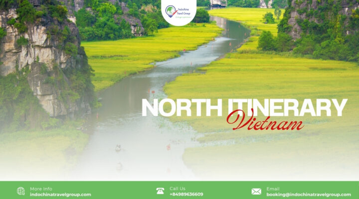 Northern Vietnam is not just a destination; it is the soul of our country. It is where our history began, where our most breathtaking landscapes reside, and where the ancient spirit of the Vietnamese people is most palpable.
