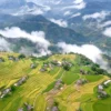 sapa