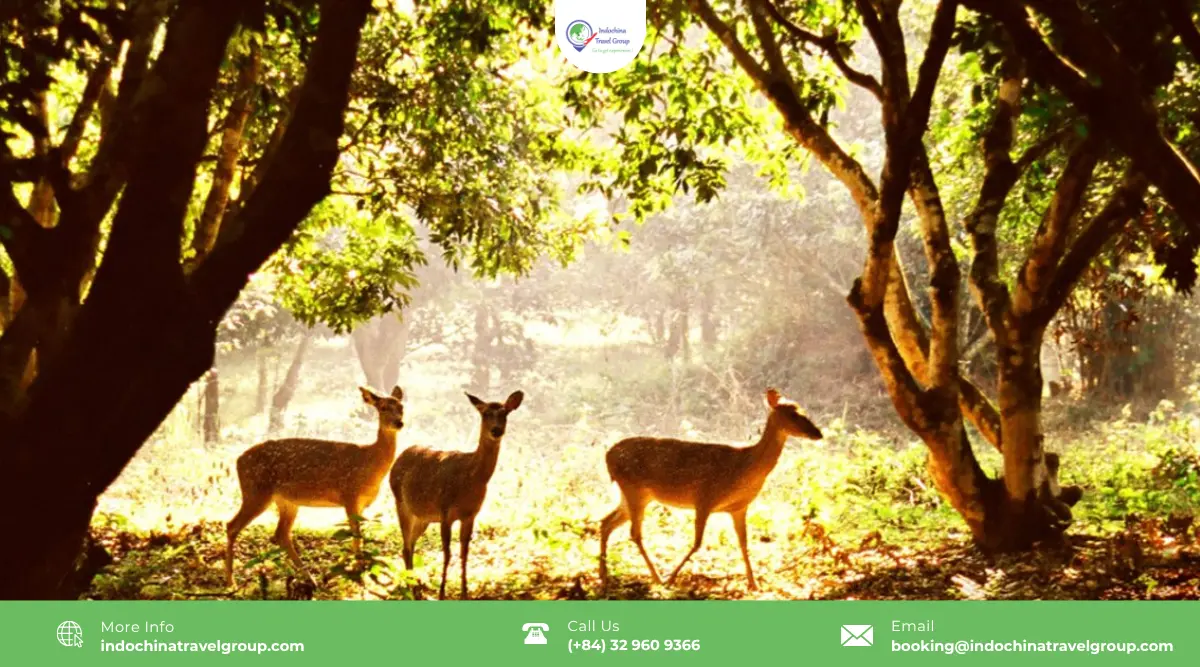 cuc phuong national park