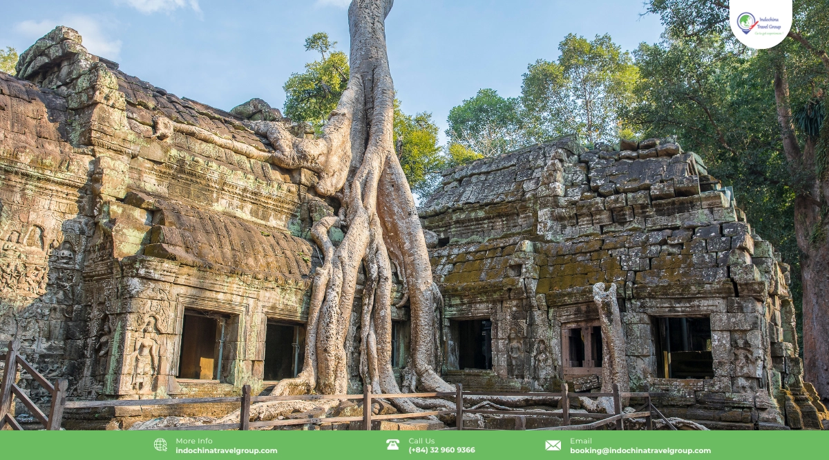 Siem Reap Travel Guide: The Complete Guide To Angkor, Food And Culture 5 ta prohm