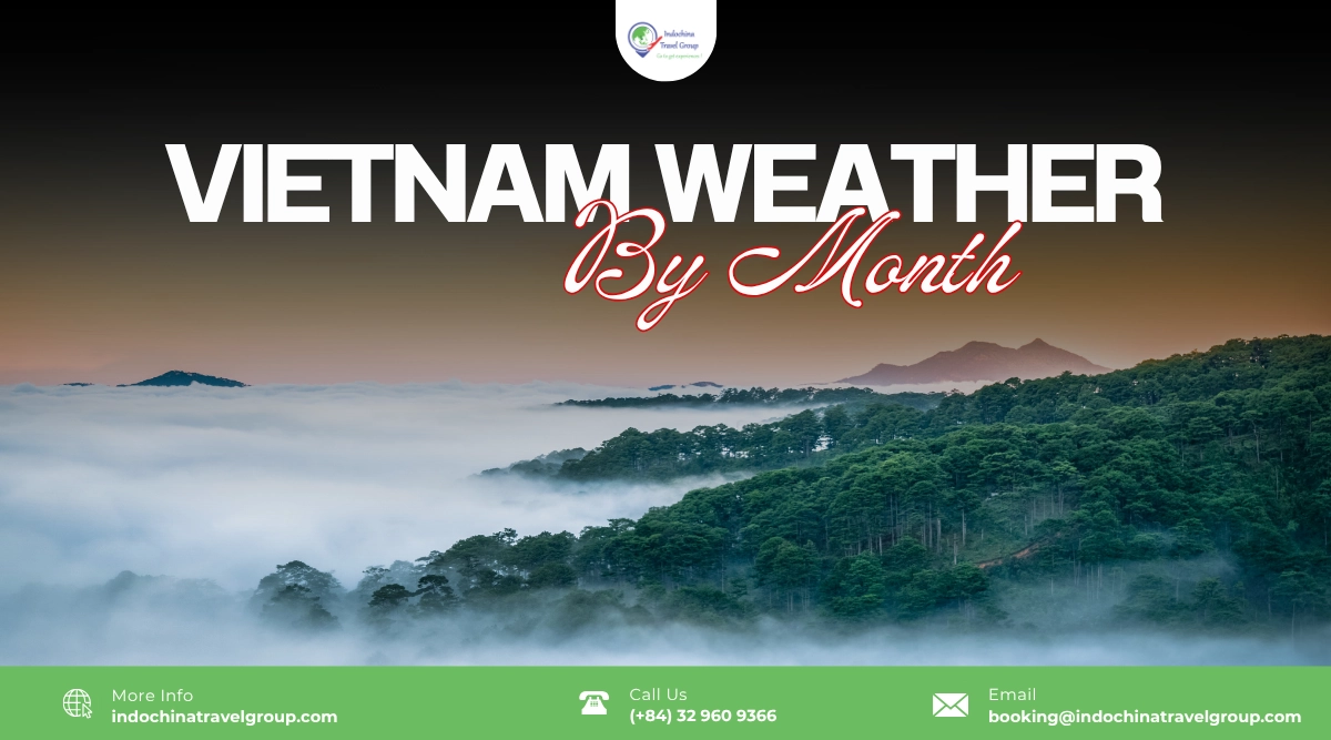 vietnam weather by month