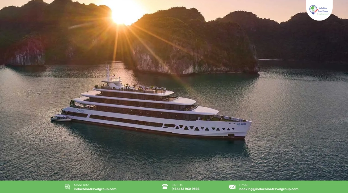 elite of the seas