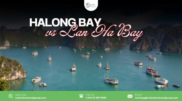 Halong Bay vs Lan Ha Bay: Which Should You Choose?