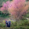 Hmong villagers Sapa