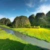 Tam Coc Ninh Binh 1